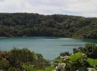 программа Точка ТВ: Джунгли 3D: Волшебство другого мира