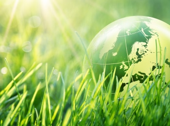 ЭКОЛОГИЯ-В-ДЕЙСТВИИ