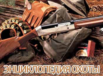 программа Охота: Энциклопедия охоты Охота на горных копытных: Часть 1