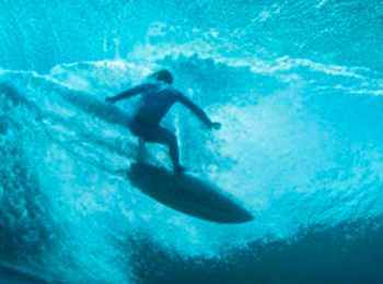 программа Морской: Энциклопедия водных досок