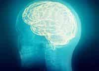 Есть-ли-пол-у-моего-мозга