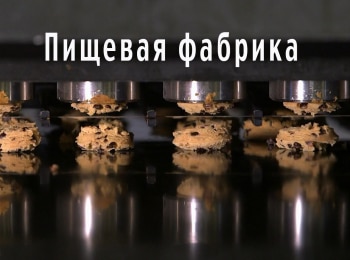 Фабрика-еды-Любимый-соус