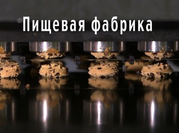 Фабрика-еды-Сладость-Абба-заба