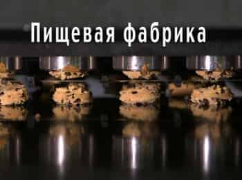 Фабрика-еды-Такос-и-тикка
