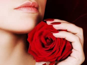 программа Русская ночь: Фантазия