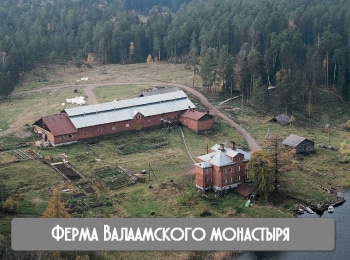 программа Russian Travel Guide (RTG): Ферма Валаамского монастыря