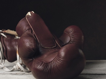 программа Fight Box: Fighting Rookies 2014 15 серия