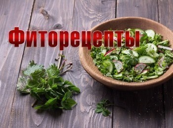 программа Загородный: Фиторецепты Рапсовое масло от белокрылок Хрен и горчица для почвы