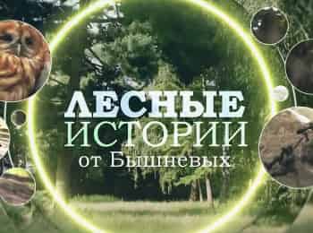 программа Беларусь 24: Формы жизни Лесные истории от Бышневых