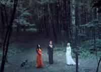 Гадалка-Портал