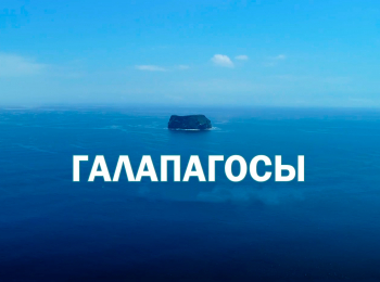 программа Точка ТВ: Галапагосы: На краю земли Выживание