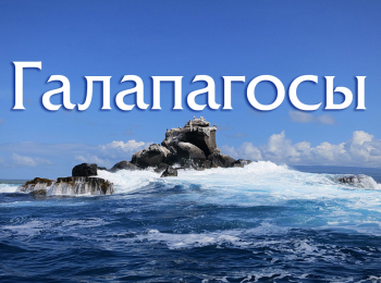 программа Точка ТВ: Галапагосы Рожденные огнем