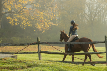 Галопом-к-мечте