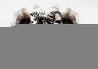 Гении-и-злодеи-Витус-Беринг