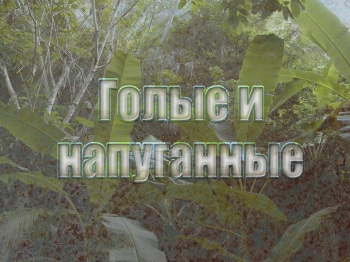 Голые-и-напуганные-Покинутые