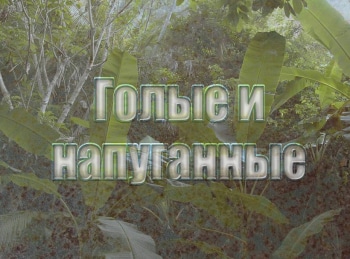 Голые-и-напуганные-Столкновение-миров-Часть-1