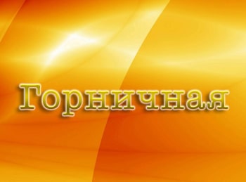 программа Star Family: Горничная 1 серия