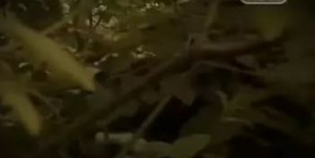 Городские-легенды-Древнее-зло-Архангельского-леса