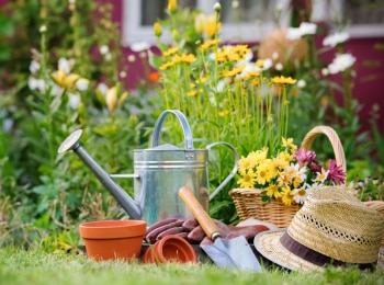 программа Загородный: Городские садоводы Анна Жаркова