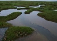 программа Russian Travel Guide (RTG): Горы и реки полуострова Ямал