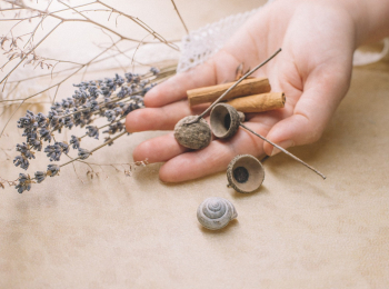 программа ЕДА: Готовим с мечтой Мексика Тако и гуакамоле