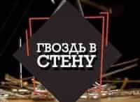 программа Загородный: Гвоздь в стену Сборка мебели