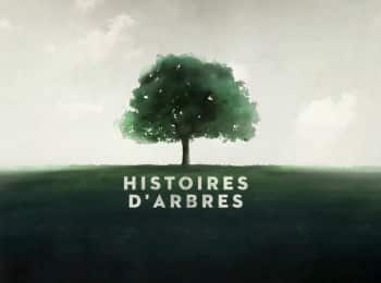 Histoires-d-arbres-Saison-2