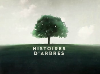 Histoires-d-arbres