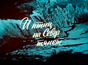 программа Культура: И птиц на Север тянет