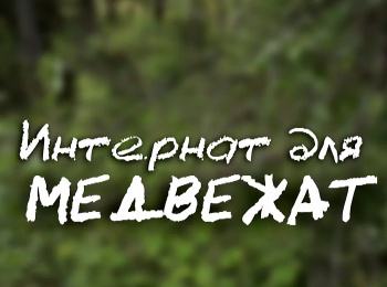 Интернат-для-медвежат