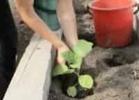 История-одной-культуры-33-серия