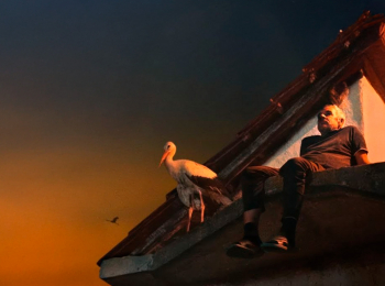 История-Сильяна