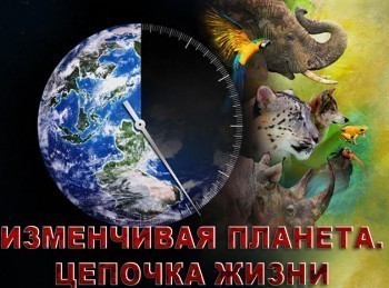 Изменчивая-планета:-цепочка-жизни-2-серия