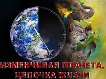 Изменчивая-планета:-цепочка-жизни-3-серия