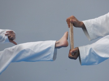 программа Евроспорт: Judo Show