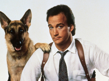 программа Комедийное: К 9 Собачья работа