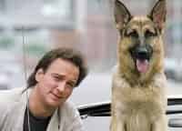 программа Комедийное: К 9 Собачья работа