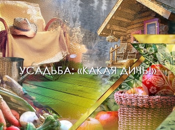 программа Усадьба: Какая дичь! 22 серия