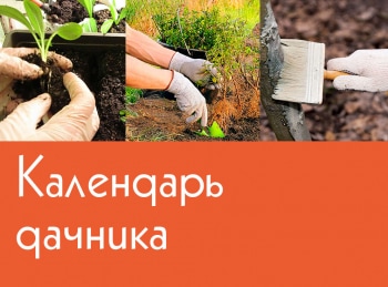 Календарь-дачника-Эпизод-42-й