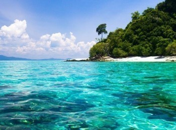 Карибские-приключения-Кровь,-пот-и-фламинго