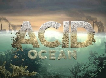 программа Морской: Кислотный океан