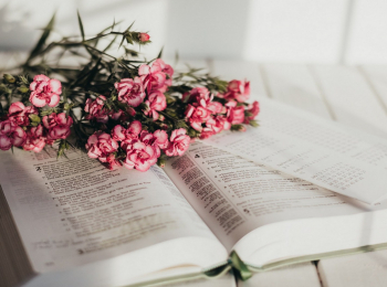 программа Охотник и рыболов: Клевое место За лещом