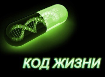 программа Центральное телевидение: Код жизни 2 серия