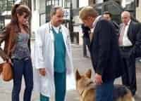 Комиссар-Рекс-113-и-114-серии