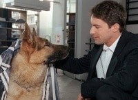 Комиссар Рекс кадры Комиссар Рекс кадры