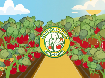 программа Загородный: Консультант садовода 93 серия