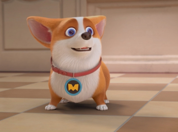 Корги-по-имени-Моко,-Домашние-животные-Игра-с-выключателем