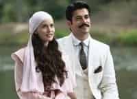 Королёк-птичка-певчая