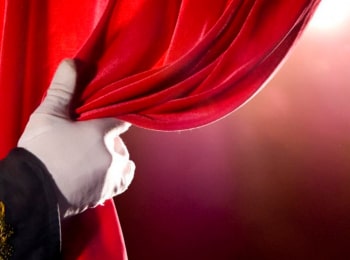 программа ТНВ: Корова