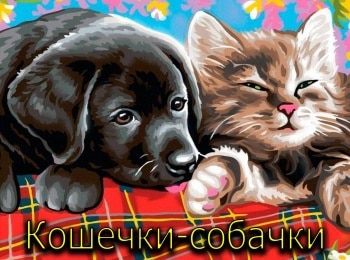 программа Карусель: Кошечки собачки Сборник 1159 й